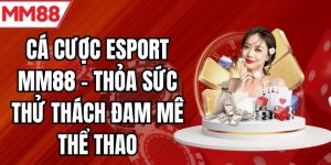 cá cược esport