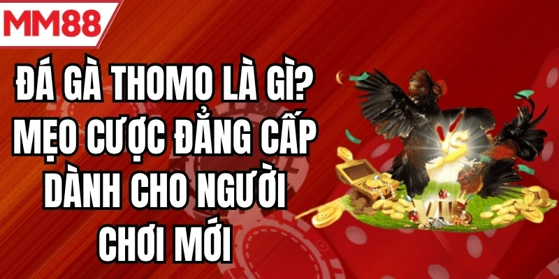 đá gà thomo